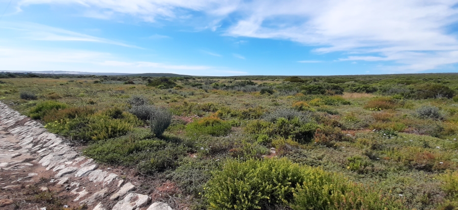 0 Bedroom Property for Sale in Jacobsbaai Western Cape